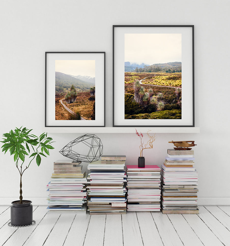 Cradle Mountain wall art print of Cradle Valley and the overland track in the Tasmanian wilderness of Cradle Mountain National Park with pandani plants button grass plains and the mountains beyond by Millie Brown