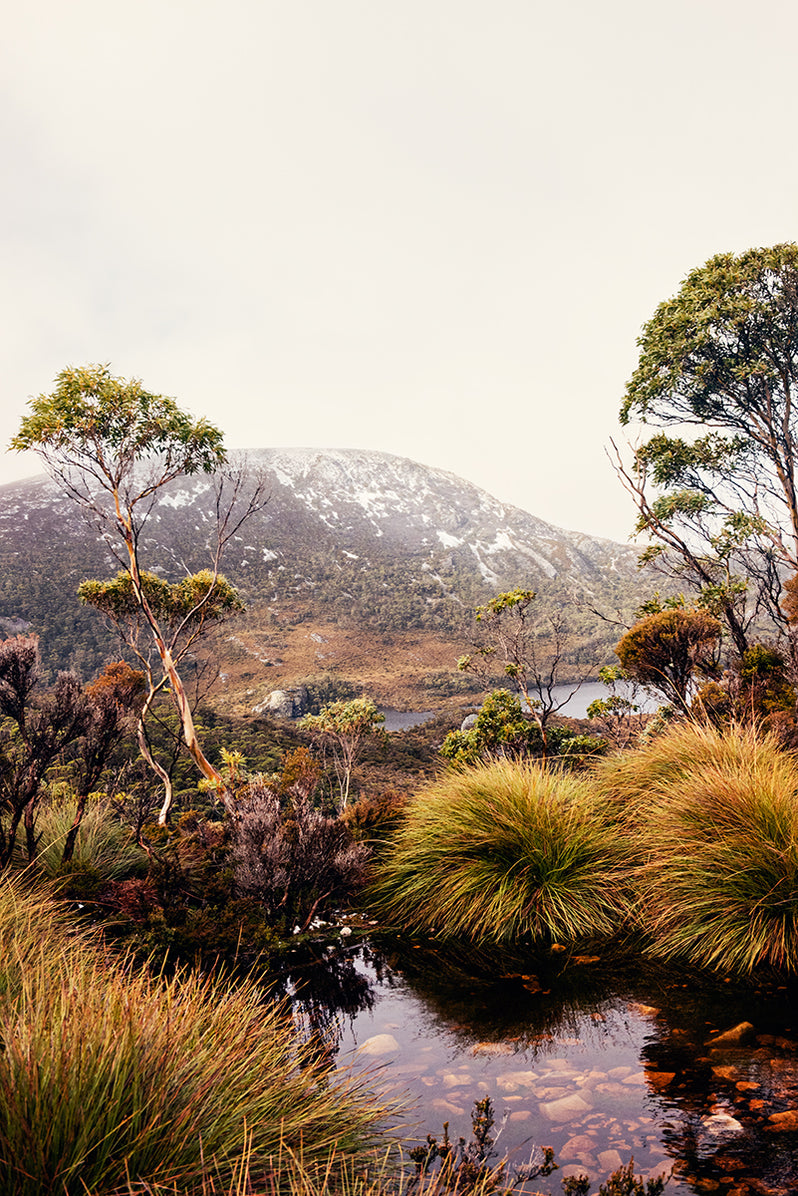 Mountain Stream