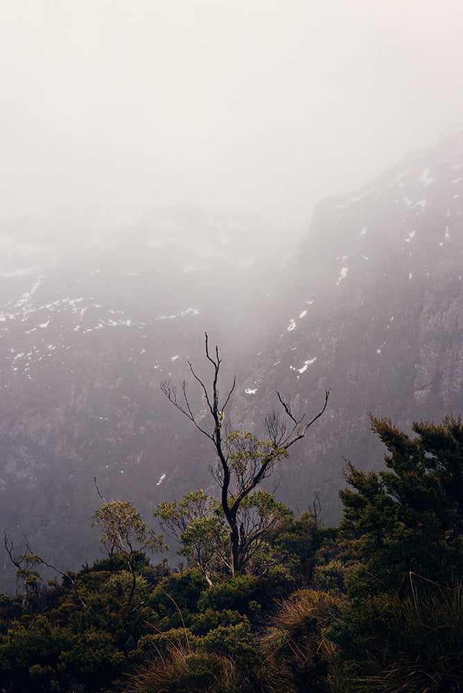 Tasmania Prints Cradle Mountain Wall Art featuring the Tasmanian landscapes of Cradle Mountain National Park in the winter by photographer Millie Brown
