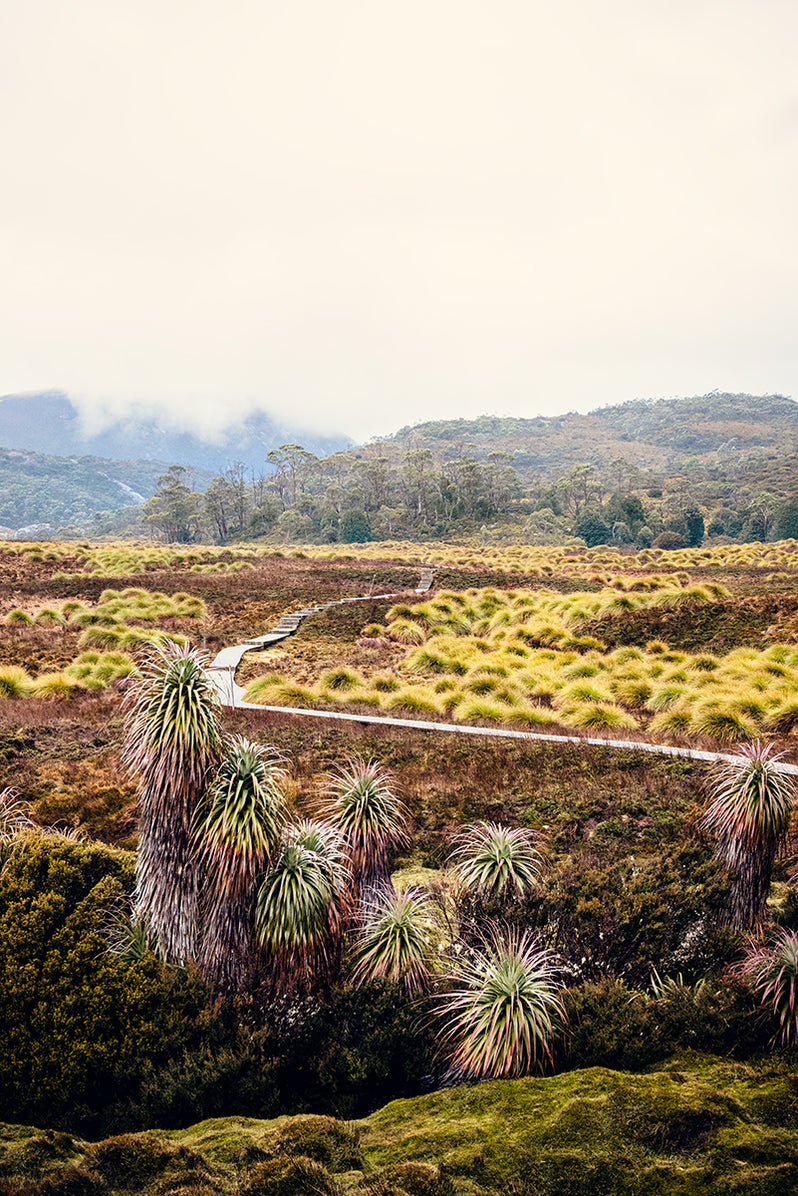 Valley Wilderness