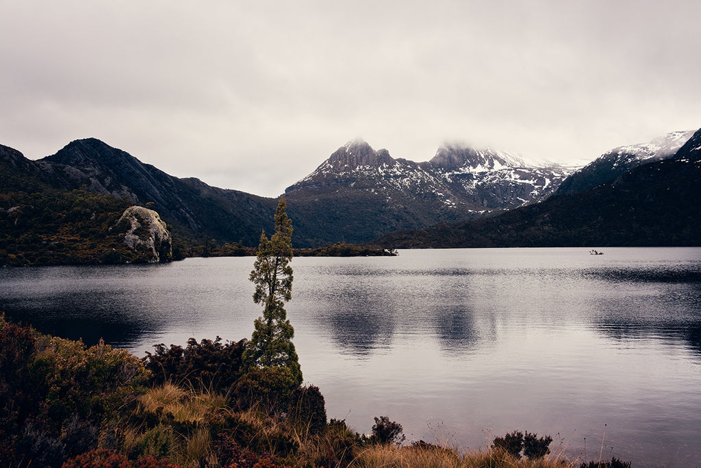 Cradle mountain photographic wall art print titled Dove Lake featuring the beautiful glacial lake in winter with the snow capped Cradle Mountain in the background , artwork by photographer Millie Brown
