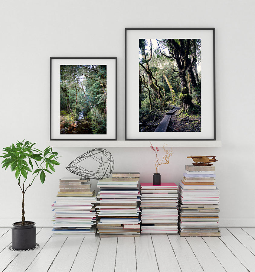 Cradle Mountain fine art prints featuring the beautiful wilderness forest of Cradle Mountain National Park in Tasmania Australia by Millie Brown
