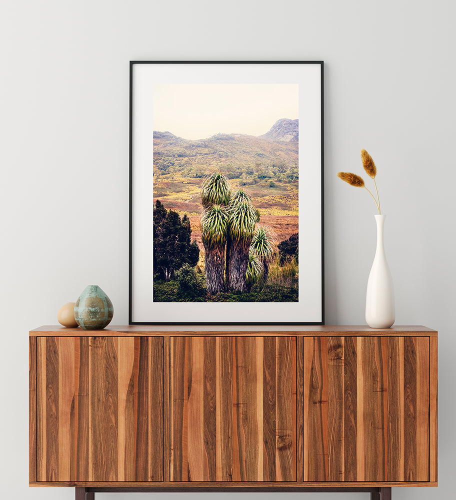 Cradle Mountain Print of the beautiful Pandani plant with the Cradle Valley wilderness in the background shot in Cradle Mountain National Park Tasmania by Millie Brown