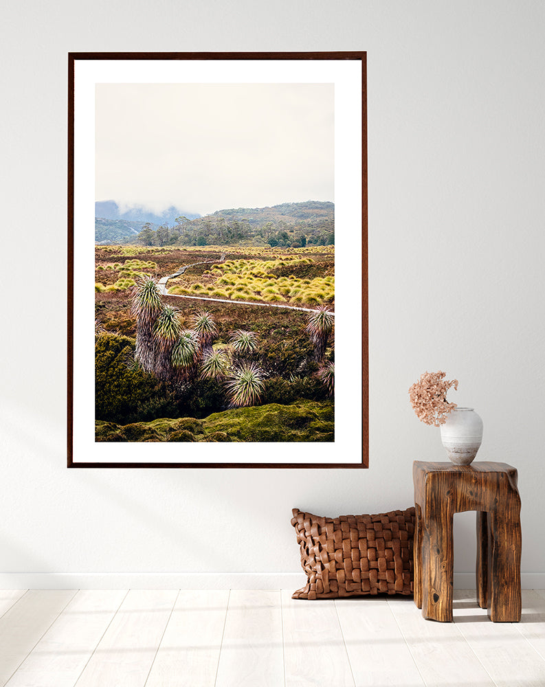 Cradle Mountain print of Cradle Valley and the overland track in the Tasmanian wilderness of Cradle Mountain National Park with pandani plants button grass plains and the mountains beyond by Millie Brown