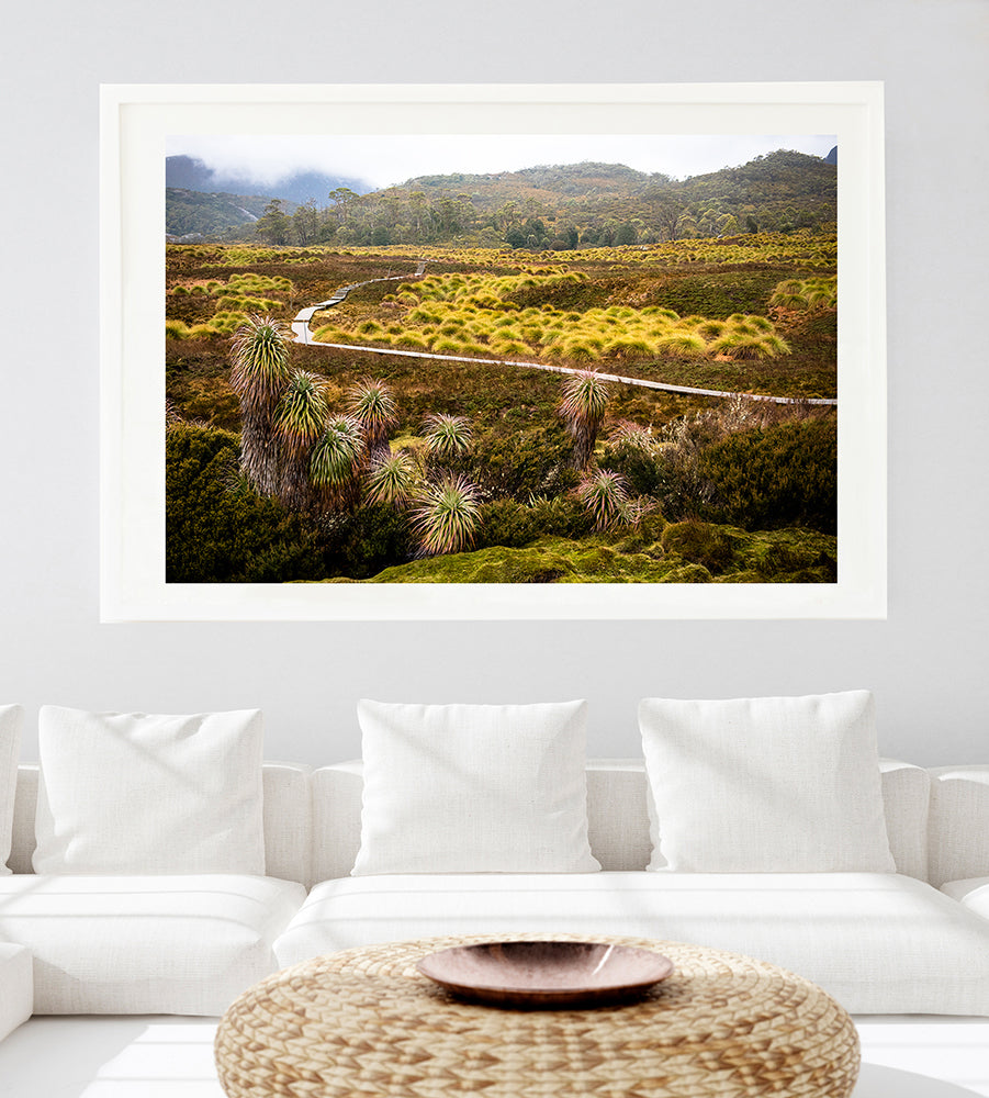 Cradle Mountain Photographic prints featuring the beautiful wilderness of Cradle Valley of the Cradle Mountain national park in Tasmania Australia. Pandani and button grass in the foreground with the iconic overland track winding its way into the wilderness