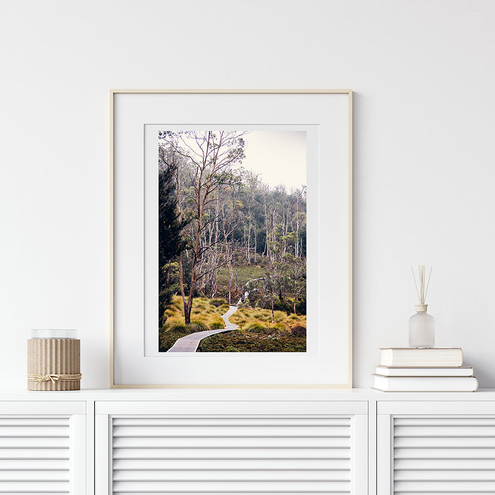 Cradle Mountain Wall Art featuring Cradle Mountain National Park in Tasmania Australia, fine art print featuring the beauty of this world heritage listed wilderness and its flora