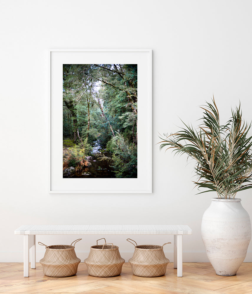 Cradle Mountain limited edition wall art print featuring the beauty of an alpine stream surrounded by green lush forest