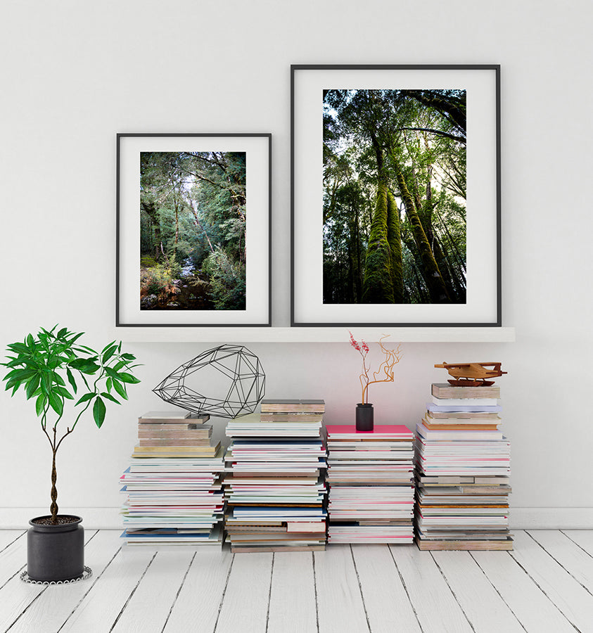 Cradle Mountain limited edition fine art photographic Print featuring the Tasmanian Wilderness and the forest of King Billy Pines from the Into the Wild collection of prints by Millie Brown.