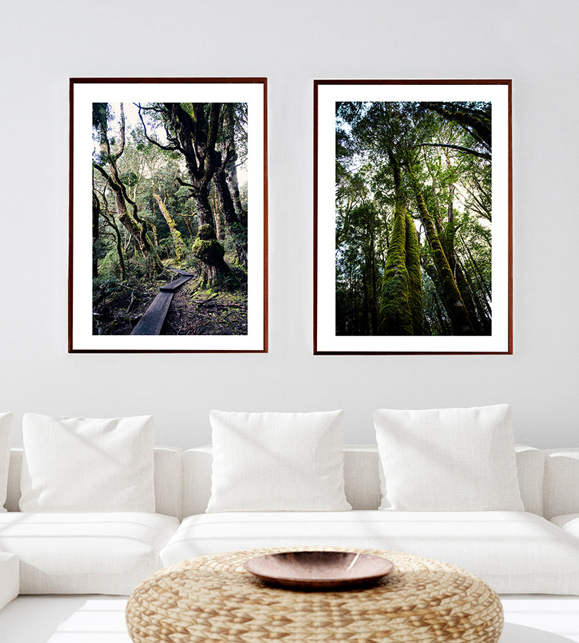 Cradle Mountain fine art prints featuring the beautiful wilderness forests of Cradle Mountain National Park in Tasmania Australia by Millie Brown