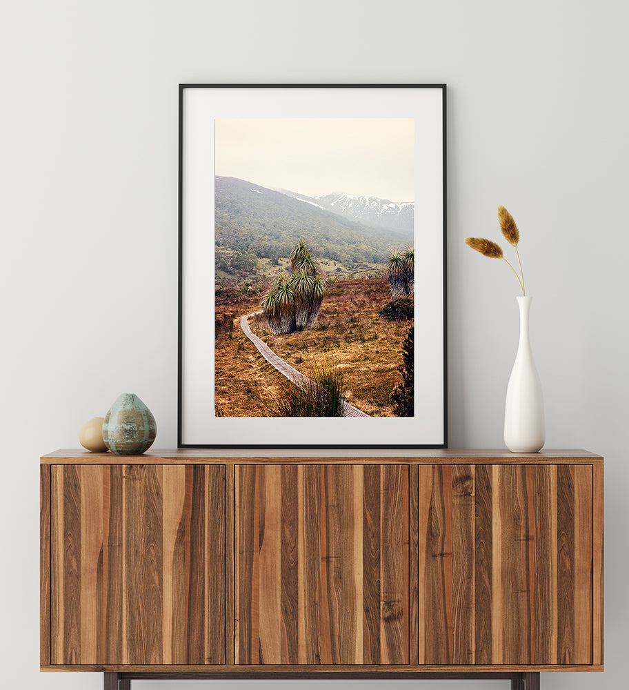 Cradle Mountain print featuring the natural beauty of Cradle Mountain national park in a fine art print featuring a cluster of pandani trees located alongside a walking trail leading to the snow capped mountains beyond