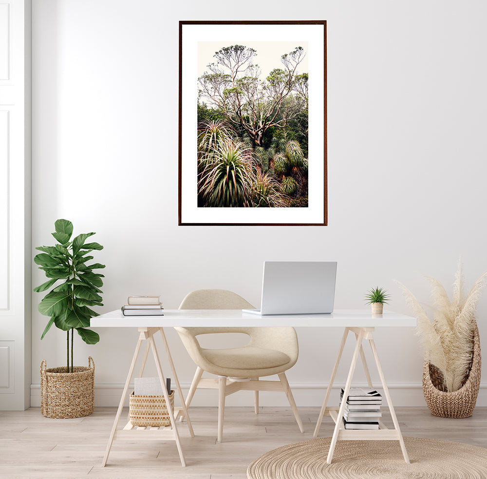 Cradle Mountain wall art Print of the beautiful Snow Gum tree surrounded by Pandani in the Cradle Mountain wilderness of Tasmania Australia by Millie Brown