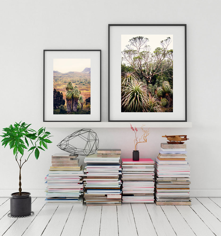 Cradle Mountain wall art Print of the beautiful Snow Gum tree surrounded by Pandani in the Cradle Mountain wilderness of Tasmania Australia by Millie Brown