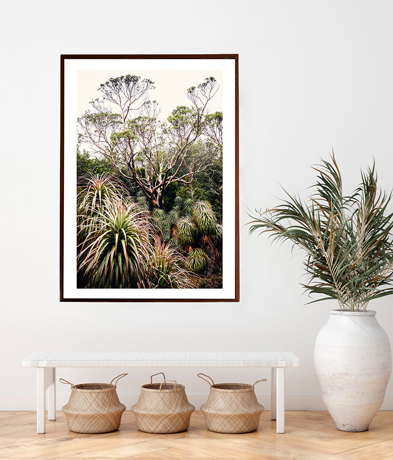 Cradle Mountain Photographic Print of the beautiful Snow Gum tree surrounded by Pandani in the Cradle Mountain wilderness of Tasmania Australia by Millie Brown