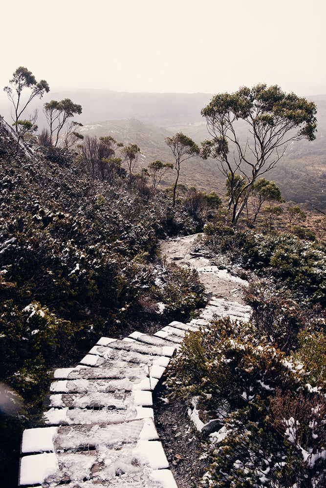 Cradle Mountain prints featuring the beauty of the Tasmanian wilderness of Cradle Mountain National Park, this print shows a snowy trail leading down a mountain surrounded by snow capped bushland by photographer Millie Brown